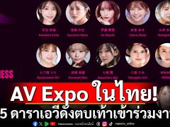 ข่าวหนังเอวี AV expo 2024 ที่ไทย เดือน พ.ย.